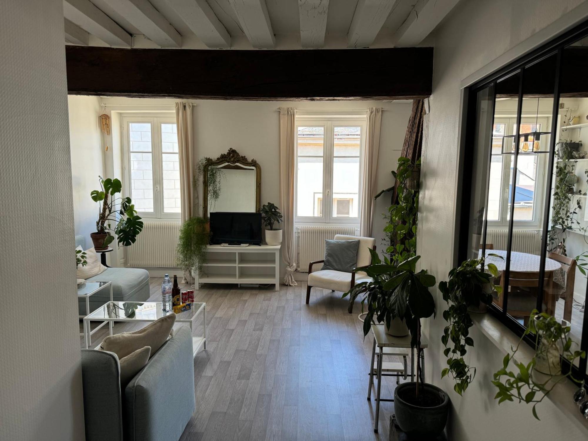 Appartement Central - オルレアン エクステリア 写真